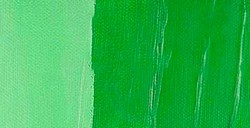 LIQUITEX HEAVY BODY COLORI ACRILICI DENSI - LIGHT GREEN PERMANENT SERIE 2 N. 312