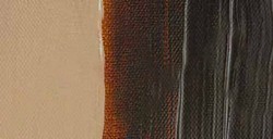 LIQUITEX HEAVY BODY COLORI ACRILICI DENSI - TRANSPARENT RAW UMBER SERIE 2 N. 333