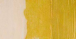 LIQUITEX HEAVY BODY COLORI ACRILICI DENSI - IRIDESCENT BRIGHT GOLD SERIE 2A N. 234