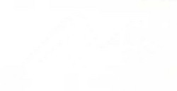 LIQUITEX INCHIOSTRO ACRILICO TITANIUM WHITE (OPACO) N. 432