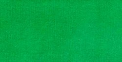 LIQUITEX TINTA ACRÍLICA VERDE FTALO SOMBRA AMARILLO (TRANSPARENTE) (PHTHALO GREEN YELLOW SHADE) Nº 319