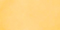 LIQUITEX INCHIOSTRO ACRILICO YELLOW OXIDE (OPACO) N. 416