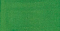LIQUITEX INCHIOSTRO ACRILICO HOOKER'S GREEN HUE N. 224