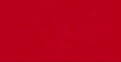VALLEJO PREMIUM BRIGHT RED NR. 005