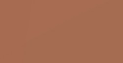 VALLEJO MODEL COLOR BROWN SAND NR. 876
