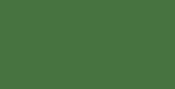 VALLEJO MODEL COLOR GERMAN CAMOUFLAGE BRIGHT GREEN NR. 833