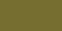 VALLEJO MODEL COLOR YELLOW GREEN NR. 881