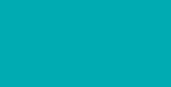TULIP 3D PAINT SLICK TURQUOISE PROFOND