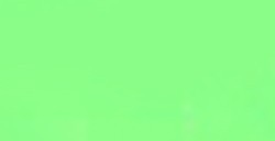 TULIP 3D PAINT VERDE / GLOW GREEN