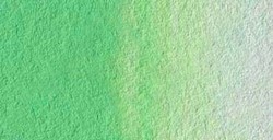 HOLBEIN ARTISTS' ACQUERELLO TUBETTO COMPOSE GREEN SERIE A N. 271
