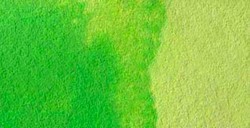 HOLBEIN ARTISTS' ACQUERELLO TUBETTO CADMIUM GREEN PALE SERIE C N. 269