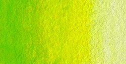 HOLBEIN ACUARELA ARTIST TUBO VERDE HOJA - LEAF GREEN - SERIE B Nº 277