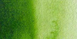 HOLBEIN ACUARELA ARTIST TUBO VERDE VEJIGA - SAP GREEN - SERIE B Nº 275