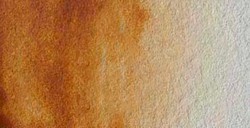 HOLBEIN ARTISTS' ACQUERELLO TUBETTO RAW UMBER SERIE A N. 331