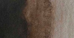 HOLBEIN ARTISTS' ACQUERELLO TUBETTO SEPIA SERIE A N. 336