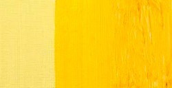 COBRA STUDY COLORI AD OLIO IDROSOLUBILI PERMANENT YELLOW MEDIUM N. 284