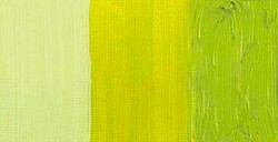 COBRA STUDY COLORI AD OLIO IDROSOLUBILI YELLOWISH GREEN N. 617