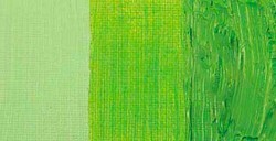 COBRA STUDY COLORI AD OLIO IDROSOLUBILI PERMANENT GREEN LIGHT N. 618