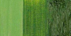 COBRA STUDY COLORI AD OLIO IDROSOLUBILI SAP GREEN N. 623