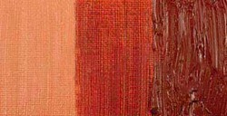 COBRA STUDY COLORI AD OLIO IDROSOLUBILI BURNT SIENNA N. 411
