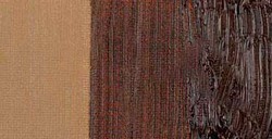 COBRA STUDY COLORI AD OLIO IDROSOLUBILI BURNT UMBER N. 409