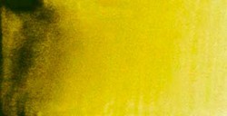MIJELLO ARTIST MISSION GOLD CLASS ACQUERELLO GREENISH YELLOW (PY150 - PG36 - PY65 - LF4 - TRANSPARENT) SERIE C N. 531