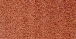 DANIEL SMITH ACQUERELLO EXTRAFINE TUBETTO BURNT BRONZITE GENUINE (PIGMENTO: GENUINE BURNT BRONZITE) SERIE 3 N. 204