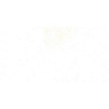 DANIEL SMITH ACQUERELLO EXTRAFINE TUBETTO TITANIUM WHITE (PIGMENTO: PW 6) SERIE 1 N. 118