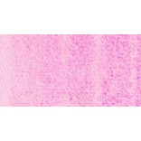 DANIEL SMITH ACQUERELLO EXTRAFINE TUBETTO COBALT VIOLET (PIGMENTO: PV 49) SERIE 3 N. 30