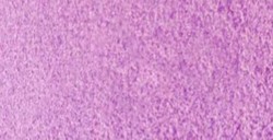 DANIEL SMITH EXTRA FINE WATERCOLOR TUBO ULTRAMARINE VIOLET (PIGMENTO: PV 15) SERIE 1 Nº 108