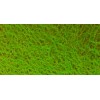 DANIEL SMITH ACQUERELLO EXTRAFINE TUBETTO GREEN APATITE GENUINE (PIGMENTO: GENUINE GREEN APATITE) SERIE 3 N. 197