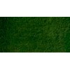 DANIEL SMITH ACQUERELLO EXTRAFINE TUBETTO PERYLENE GREEN (PIGMENTO: PBK 31) SERIE 2 N. 194