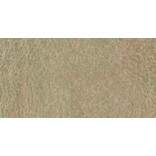 DANIEL SMITH ACQUERELLO EXTRAFINE TUBETTO GRAY TITANIUM (PIGMENTO: PW 6) SERIE 1 N. 241