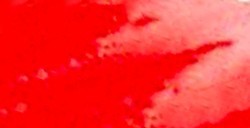 DANIEL SMITH ACQUERELLO EXTRAFINE IN STICK ORGANIC VERMILION (PIGMENTO: PR 188) N. 41