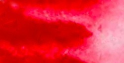 DANIEL SMITH ACQUERELLO EXTRAFINE IN STICK QUINACRIDONE RED (PIGMENTO: PV 19) N. 20