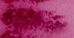 DANIEL SMITH ACQUERELLO EXTRAFINE IN STICK QUINACRIDONE VIOLET (PIGMENTO: PV 19) N. 14
