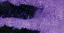 DANIEL SMITH ACQUERELLO EXTRAFINE IN STICK CARBAZOLE VIOLET (PIGMENTO: PV 23 RS) N. 21
