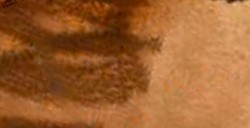 DANIEL SMITH ACQUERELLO EXTRAFINE IN STICK BURNT UMBER (PIGMENTO: PBR 7) N. 04
