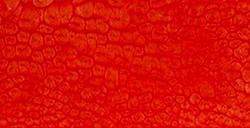 PÉBÉO FANTASY PRISME COLORI CON EFFETTI A NIDO D'APE VERMILLION N. 12