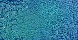 PÉBÉO FANTASY PRISME COLORI CON EFFETTI A NIDO D'APE MARINA N. 38