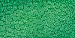 PÉBÉO FANTASY PRISME COLORI CON EFFETTI A NIDO D'APE EMERALD N. 18