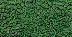 PÉBÉO FANTASY PRISME COLORI CON EFFETTI A NIDO D'APE LEAF GREEN N. 29
