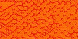 PÉBÉO FANTASY PRISME COLORI CON EFFETTI A NIDO D'APE FLUORESCENT ORANGE N. 61