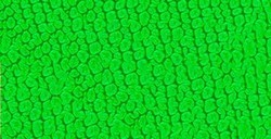 PÉBÉO FANTASY PRISME COLORI CON EFFETTI A NIDO D'APE FLUORESCENT GREEN N. 63