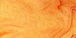 PÉBÉO FANTASY MOON COLORI CON EFFETTI PERLESCENTI APRICOT N. 16
