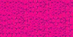 PÉBÉO FANTASY MOON COLORI CON EFFETTI PERLESCENTI FLUORESCENT PINK N. 62