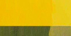 MAIMERI POLYCOLOR PEINTURE ACRYLIQUE ÉTUDE JAUNE CITRON Nº 100