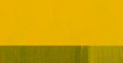 MAIMERI POLYCOLOR PEINTURE ACRYLIQUE ÉTUDE JAUNE PRIMAIRE Nº 116