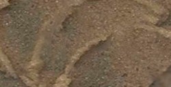 MAIMERI POLYCOLOR BODY PASTA DE MODELAR CUARZO Nº 813