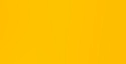 LIQUITEX BASICS COLORI ACRILICI CADMIUM YELLOW DEEP HUE N. 163